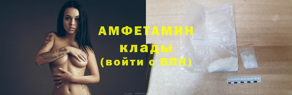 СК Алексин