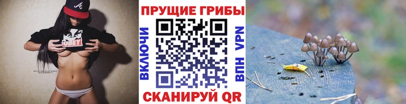 Галлюциногенные грибы прущие грибы  Нижний Тагил 